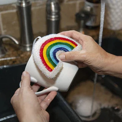 Rainbow Scrub Sponge