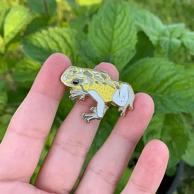 Demigender Pride Frog Pin