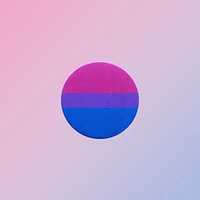 Bisexual Flag Pin