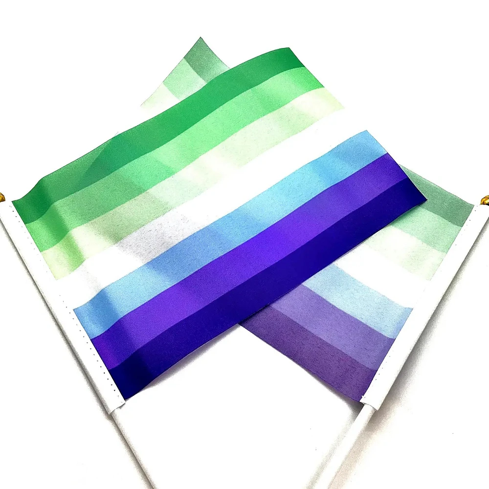 MLM Hand Held Pride Flag