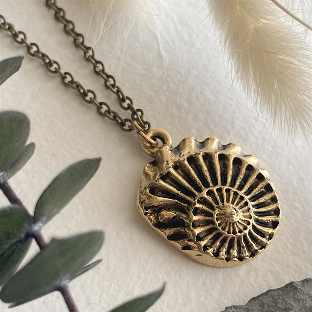 Collier rond en bronze avec coquillage Nautilus Nautilus