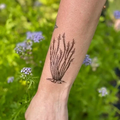 Ocotillo Temporary Tattoo