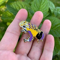 Non-Binary Pride Frog Pin