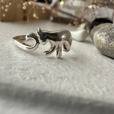 Anillo de gato Reynolds