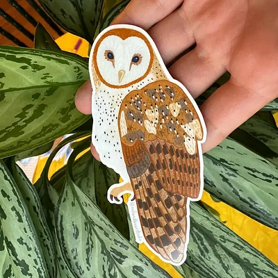 Barn Owl Sticker (Vinyl)