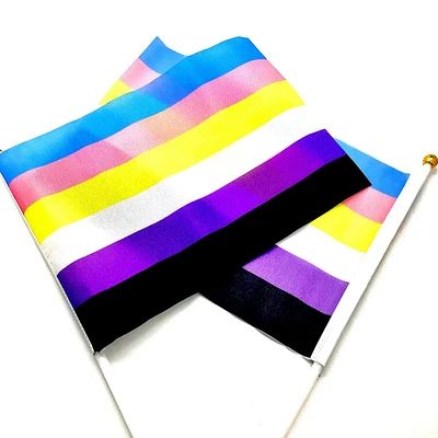 Transgender And Non Binary Hand Held Pride Flag