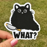 What Stabby Cat Black Cat Sticker