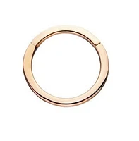 18g 8mm 14Kt Yellow Gold Basic Hinged Hoop