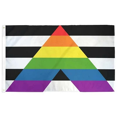 Drapeau allié LGBTQ 3 pieds x 5 pieds