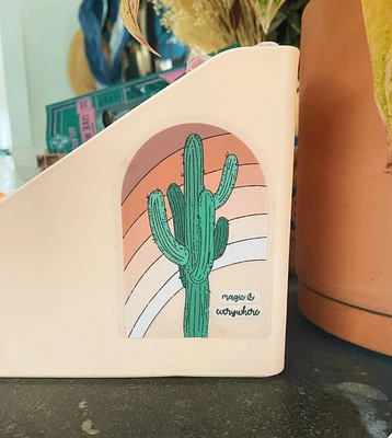 La magia del arco iris del cactus está en todas partes