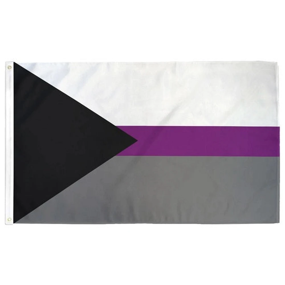 Bandera del Orgullo Demisexual 3 pies x 5 pies