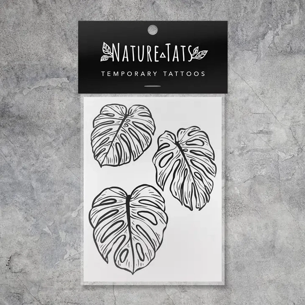 Feuilles de Monstera