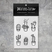 cactus en maceta