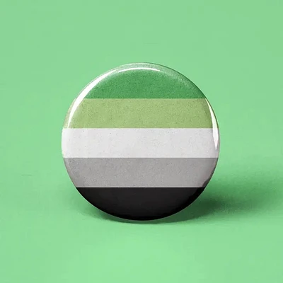 Aromantic Flag Pin