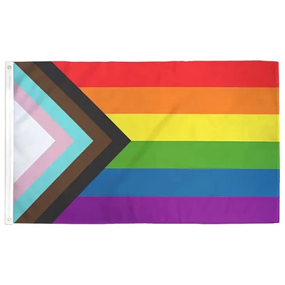 Progress Pride Flag  18" x 12"