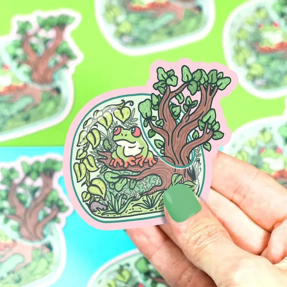 Rana Arborícola Terrario Anfibio Mascota