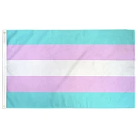 Transgender Pride Flag 2Ft X 3Ft