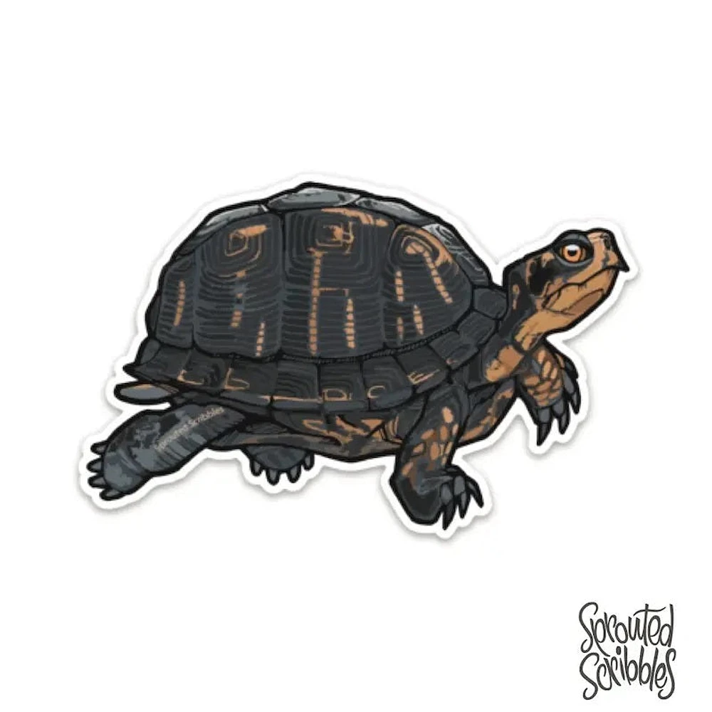 PEGATINA DE TORTUGA