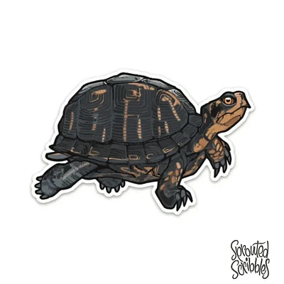 PEGATINA DE TORTUGA