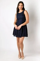 Lace Sleeveless Skater Dress