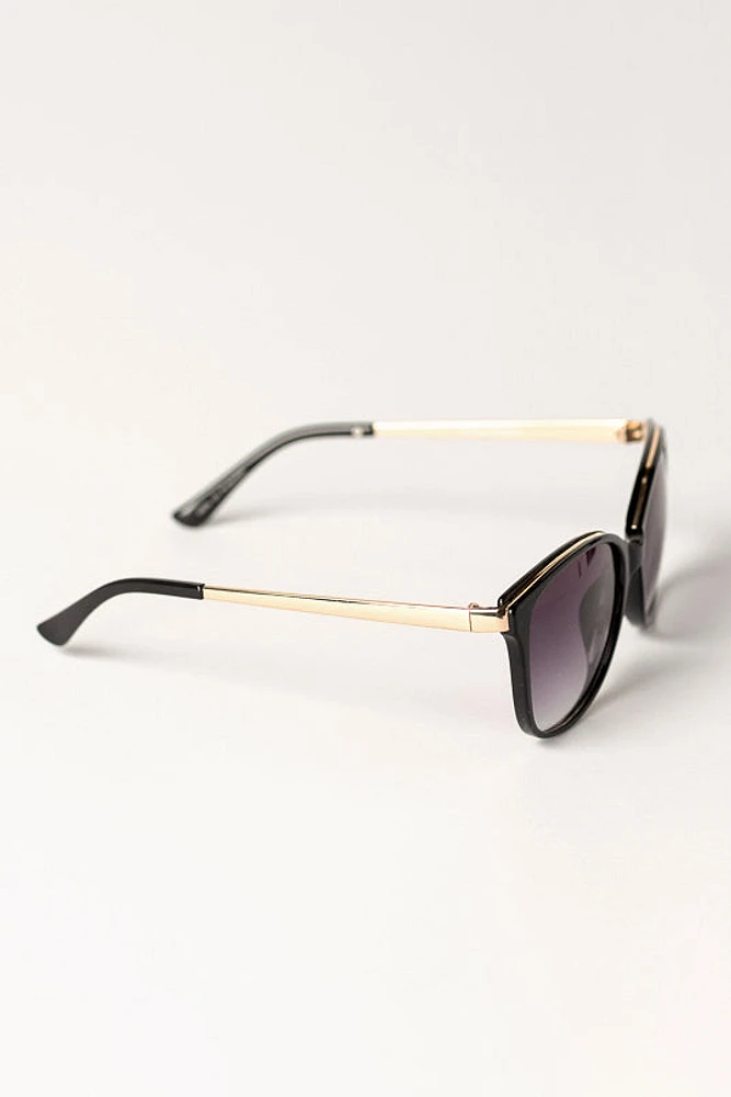 Pantos Sunglassses with Metal Trim and Arms