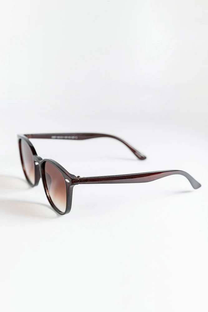 Brown Wayfarer Frame Sunglasses