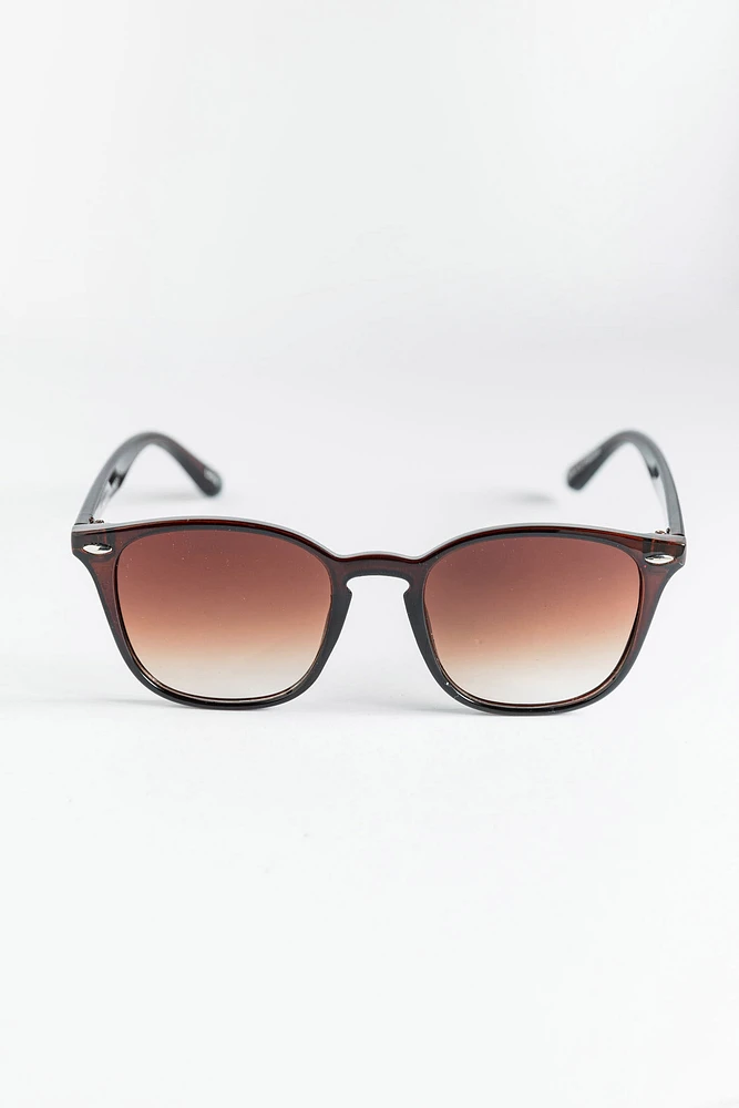 Brown Wayfarer Frame Sunglasses