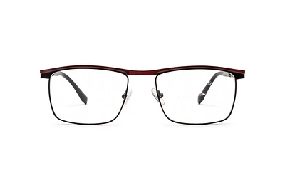ENZO-4008