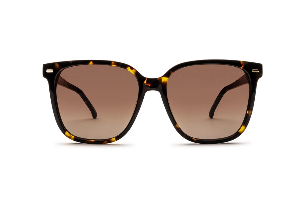 CA-3002S