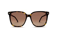 CA-3002S