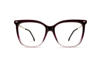 CARRERA