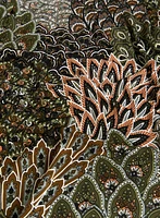 Robe à motif paon