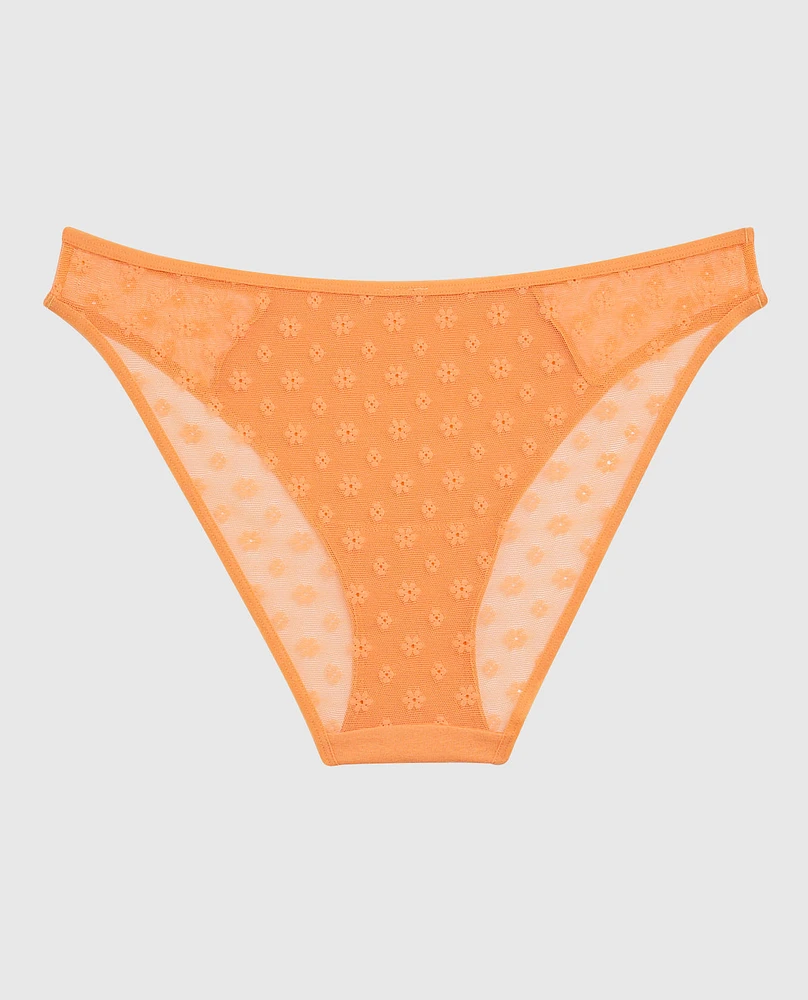 Mesh Bikini Panty