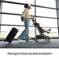 Hummingbird Ultra-Lightweight Carbon Fiber Stroller - Calypte Pink