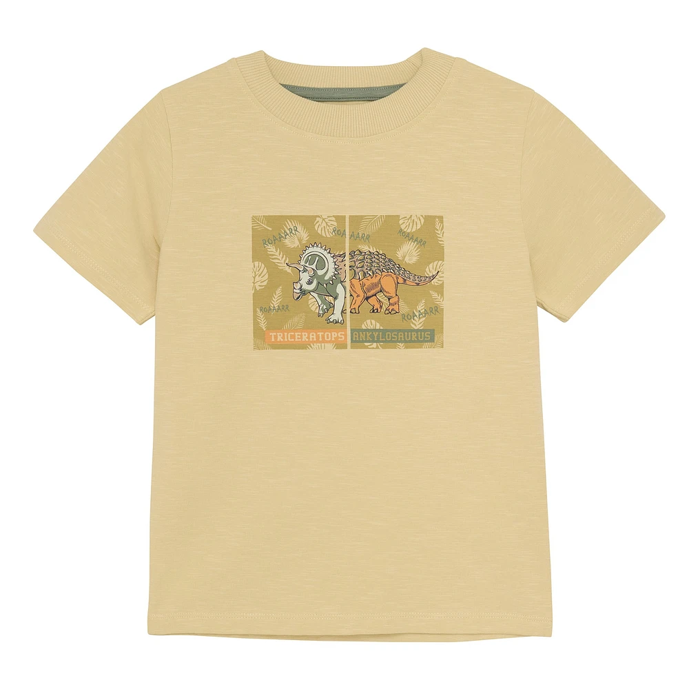 Dino T-shirt 3-8y