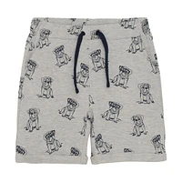 Short Chiens 18mois