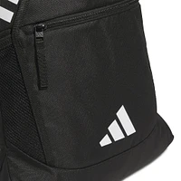 Sac À Souliers Stadium