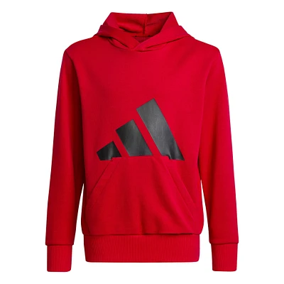 Big Logo Fleece Hoodie 8-16y