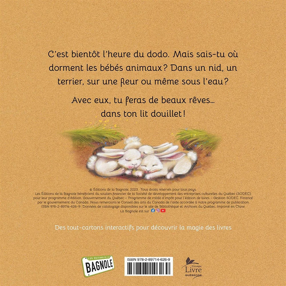 Au Dodo Avec Les Bébés Animaux