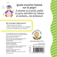 Animaux Rabats Surprises