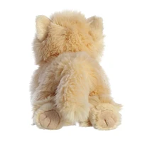 Chat Persan 8.5"