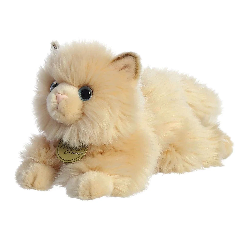 Chat Persan 8.5"