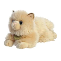 Chat Persan 8.5"