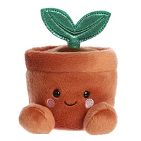 Plante en Pot