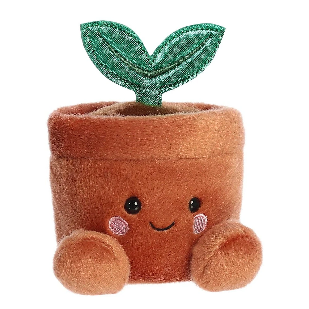 Plante en Pot