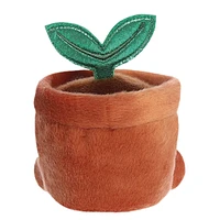 Plante en Pot