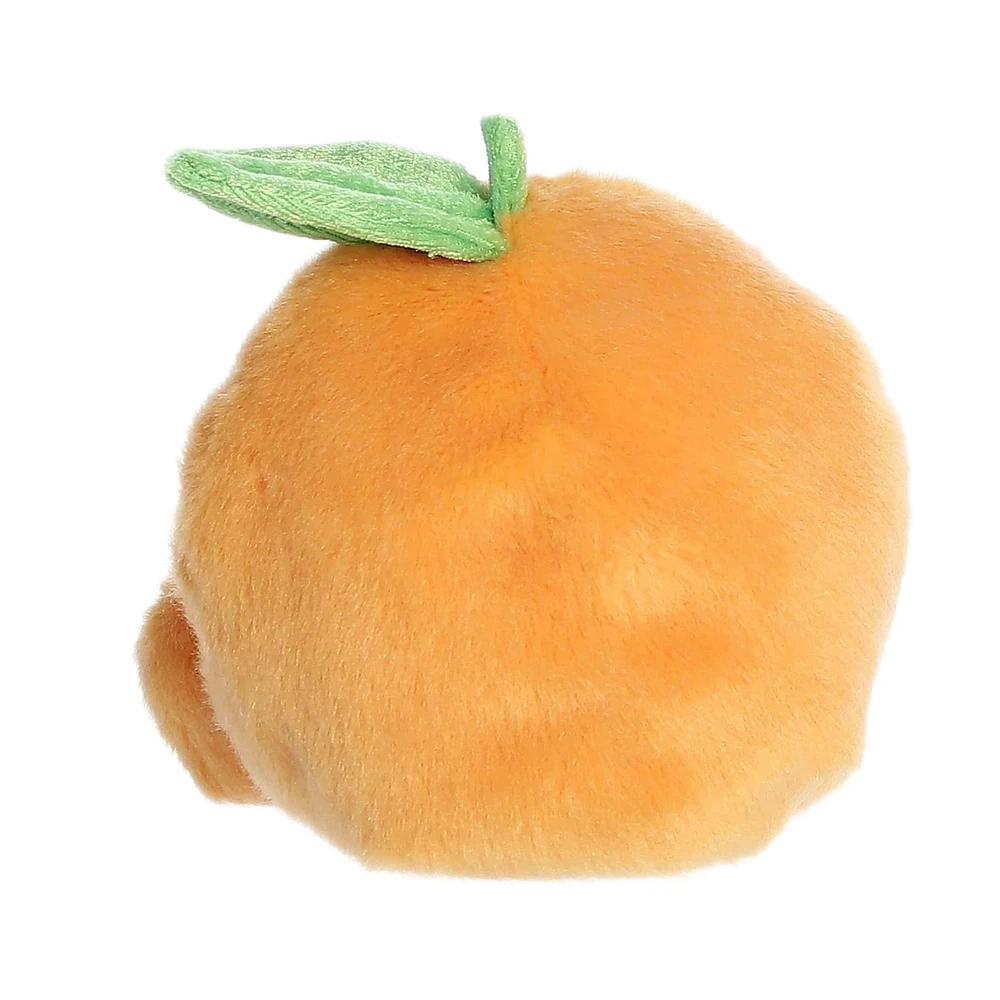 Orange Tangie