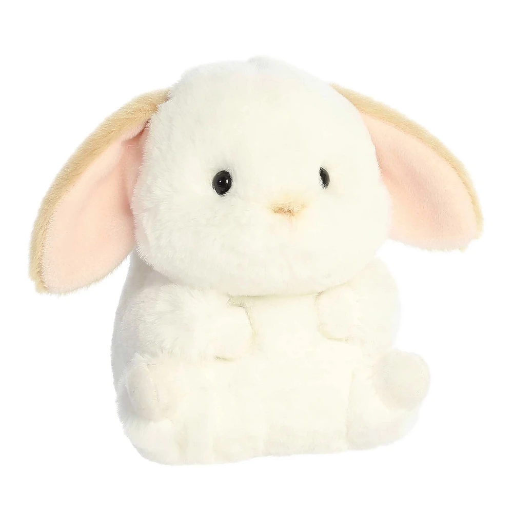Lapin