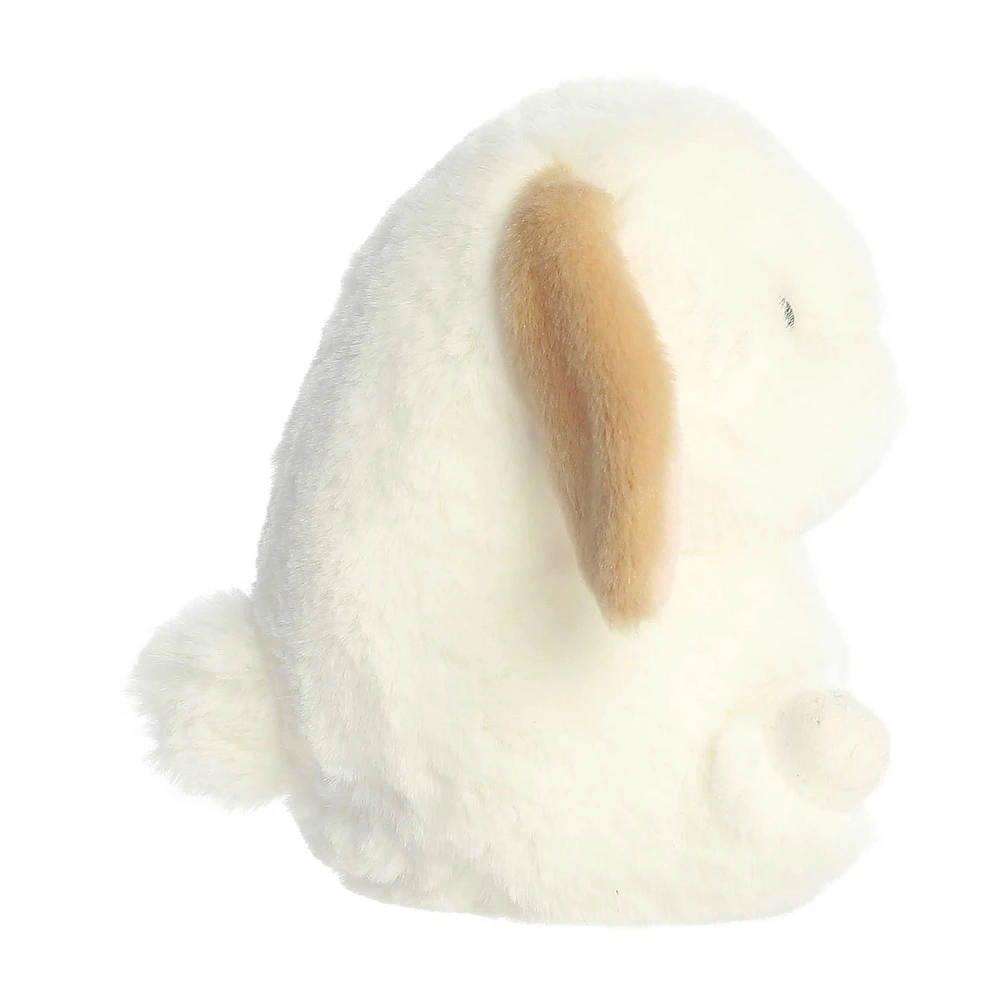 Lapin