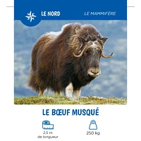 Les Animaux Du Québec